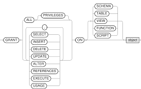 grant exasol db doentation