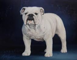 Newborn puppy prices are are given a range, depending on what the puppy is charting. National Portrait Gallery The Bulldog Club Of America The Official Akc Bulldog Club