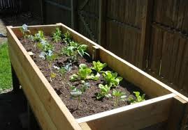 Diy Project Vegetable Planter Box