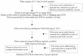 Flow Chart Of Protocol For Measuring Enteroviruses In