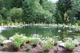 Large Backyard Landscaping Garden Pond