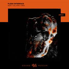 flesh interface sound museum