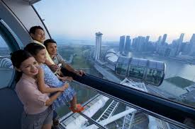 singapore flyer gardens by the bay