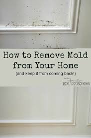 remove mold from your home and keep it