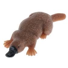 Detailed Platypus Figurines Plastic Zoo Animals Figure Model For Baby Accs Ebay