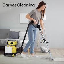 5in1 carpet cleaner machine wet dry