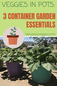 Successful Container Garden
