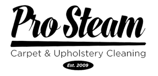 pro steam carpet cleaning