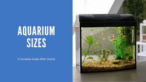 aquarium sizes a complete guide with