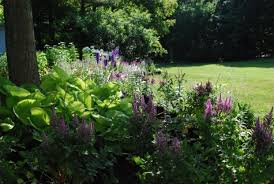 Perennial Garden Design Deborah