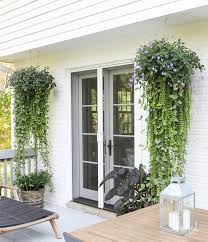 Diy Hanging Basket Plant For Shade Wow