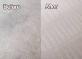 all star carpet cleaning dye reviews