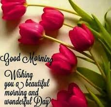 Good morning flowers represent a symbol of love, affection, uniqueness and hence makes it one of the best gifts we can offer to our. Good Morning Quotes Status In Hindi Images Message Wishes Beautiful Song Sunday Flowers Greetings Love Messages Status Gujrati For Facebook Whatsapp And Instagram