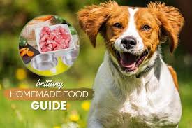 homemade dog food for pit bulls guide