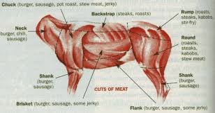 46 Prototypal Deer Meat Butcher Chart