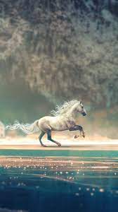 running horse wallpaper mobcup