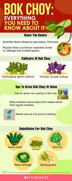 10 health benefits of bok choy