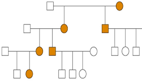 Patterns Of Inheritance Genetics Assignment Help