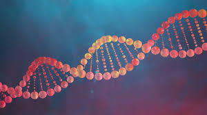 how dna works howstuffworks