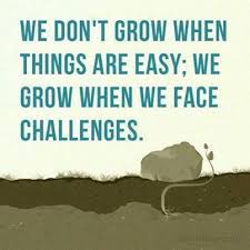 Image result for life is a challenge  -  quotes