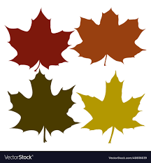 maple leaves diffe colors royalty