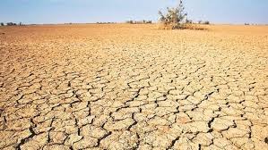 How India's present drought-like situation is similar to 1943 Bengal famine  | Economy & Policy News - Business Standard