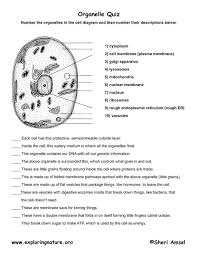 Cell Organelle Quiz Science Cells Biology Lessons
