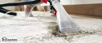 rug and carpet cleaning
