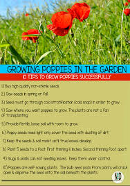 Easy to follow step by step instructions showing you how to grow beautiful poppies. Will Poppies Self Seed