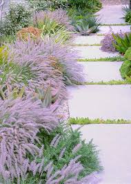 Plants For Garden Pathways