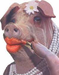 arrivals and departures lipstick on a pig