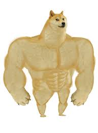 Upload only your own content. Swole Doge Blank Template Imgflip