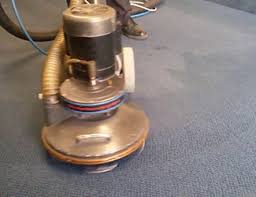 carpet cleaning services in taylor