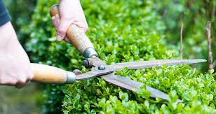 Alibaba.com offers 3,647 gardens care products. Lawn And Garden Care Damas Landscaping Llc