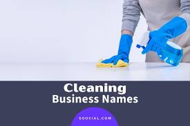 1049 cleaning business name ideas that