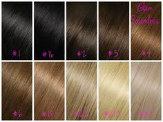 20 Best Glam Seamless Color Guide Images In 2019 Hair