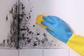 Remove Mould From Your Bathroom Ceiling