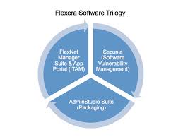 Tools Advisor Flexera Flexnet Manager Review