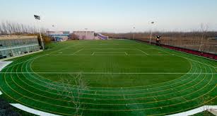 biggest artificial turf play e