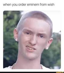 Find the newest you wish meme meme. When You Order Eminem From Wish Ifunny