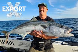how to catch kingfish the fishing