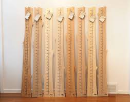 Growth Chart Basswood Finished Wood From The Hood