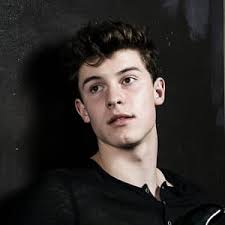 Shawn Mendes Songs Albums Birthday Biography