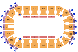 Buy Grand Rapids Griffins Tickets Seating Charts For Events