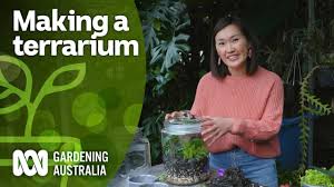 how to make a terrarium indoor plants