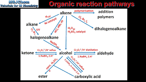20 2 Organic Reaction Pathways Hl