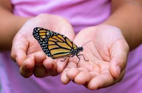 Бабочка на руке - 73 фото