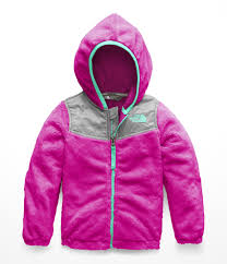 Galleon The North Face Toddler Girls Oso Hoodie Azalea