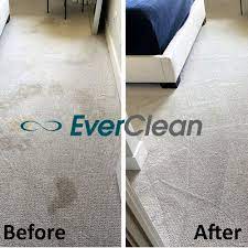 carpet cleaning in franklin tn