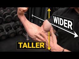 how to get bigger biceps taller